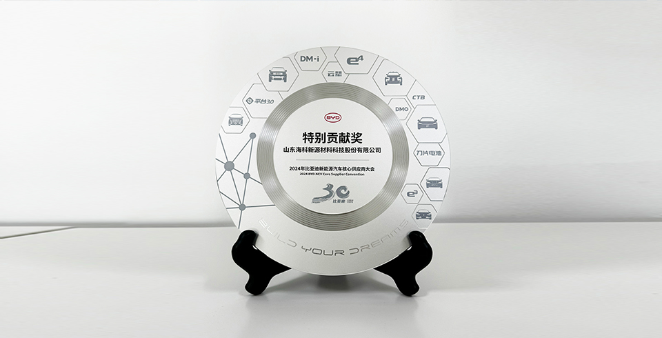 爱游戏爱游戏首页网站网站 - 爱游戏(中国)连续四年再度荣获比亚迪2024年“特别贡献奖”